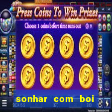 sonhar com boi jogo do bicho