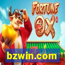 bzwin.com